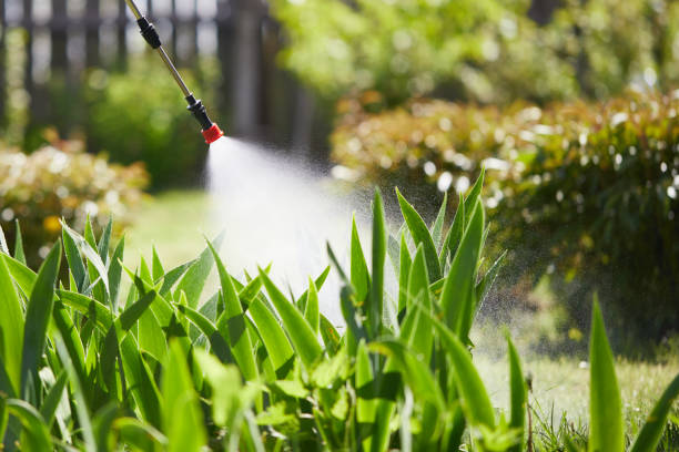 24/7 Emergency Termite Control experts in Summit Hill, PA