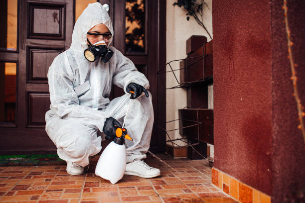 Reliable Termite Control contractor in Summit Hill, PA by Nex Pest Control