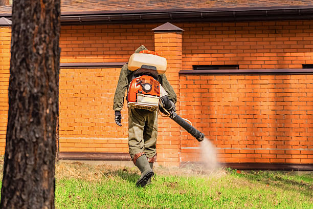Trusted Bed Bug Control service in Summit Hill, PA - Nex Pest Control
